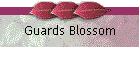 Guards Blossom