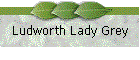 Ludworth Lady Grey