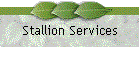Stallion Services