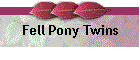 Fell Pony Twins