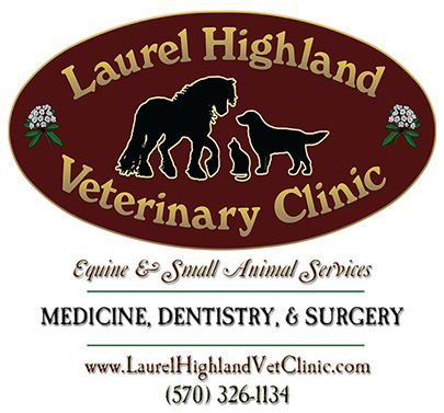 Highland store vet clinic